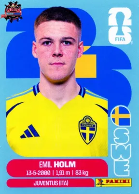 SWE 5 Emil Holm